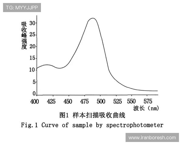 如何顺利进行真人mg注册？详细流程与注意事项全方位解读让你无忧入门