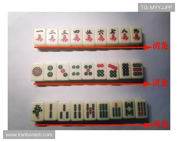 麻将糊了旗舰网站全面解析不同牌型的胡牌技巧